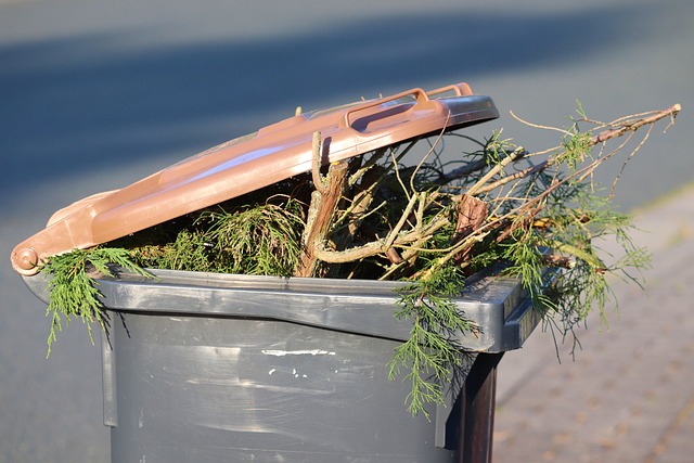 Recyclage Déchets Élagage